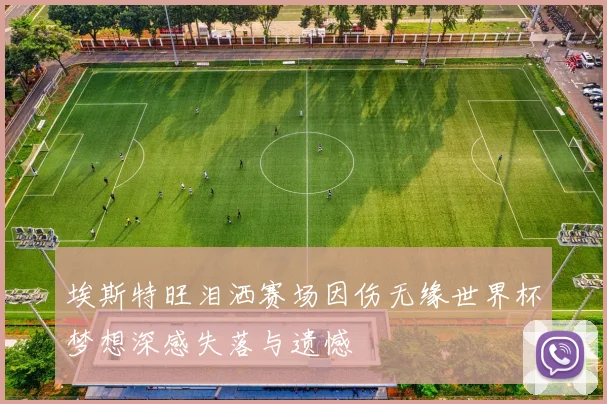 埃斯特旺泪洒赛场因伤无缘世界杯梦想深感失落与遗憾
