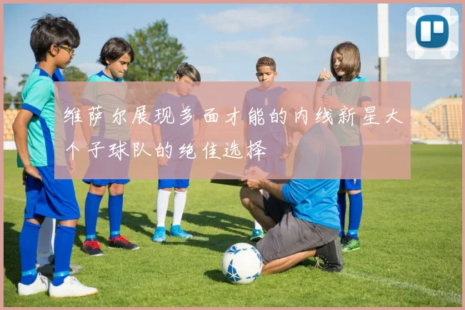 维萨尔展现多面才能的内线新星大个子球队的绝佳选择