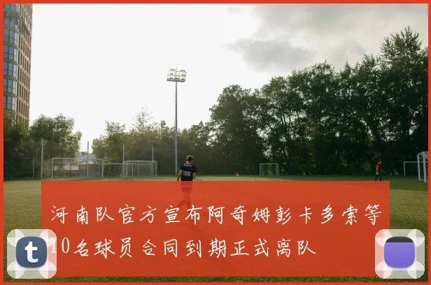河南队官方宣布阿奇姆彭卡多索等10名球员合同到期正式离队