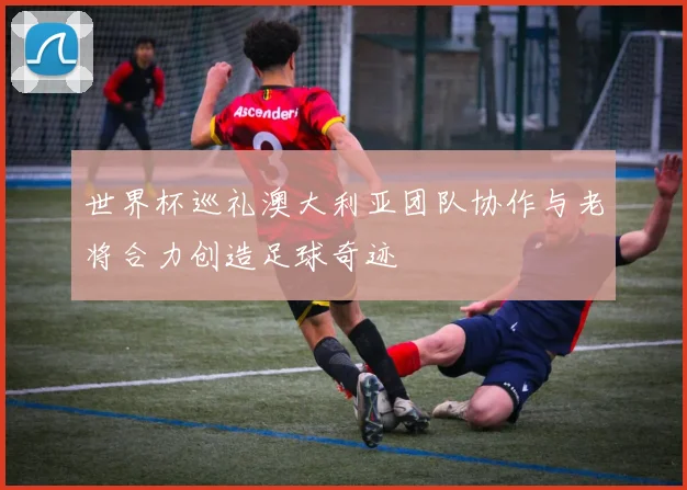 世界杯巡礼澳大利亚团队协作与老将合力创造足球奇迹